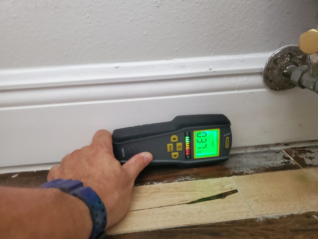 Mold Inspection Tampa Bay