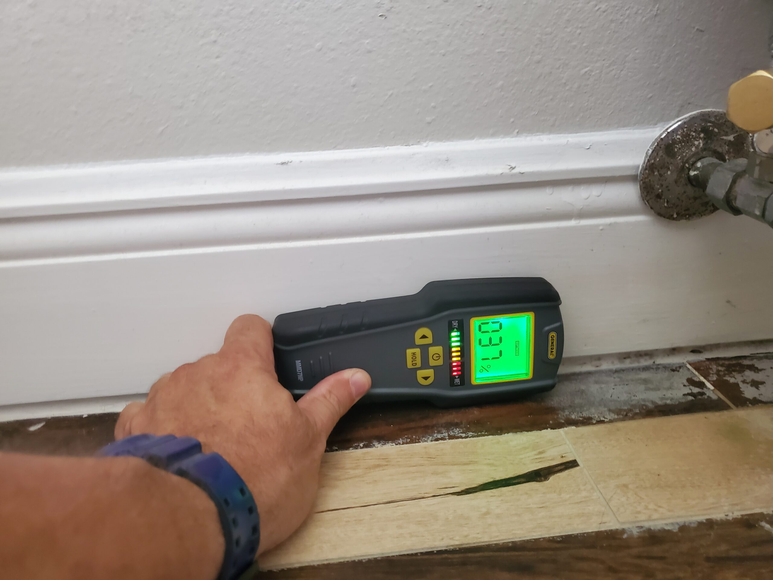 Black Mold Inspection Tampa Bay