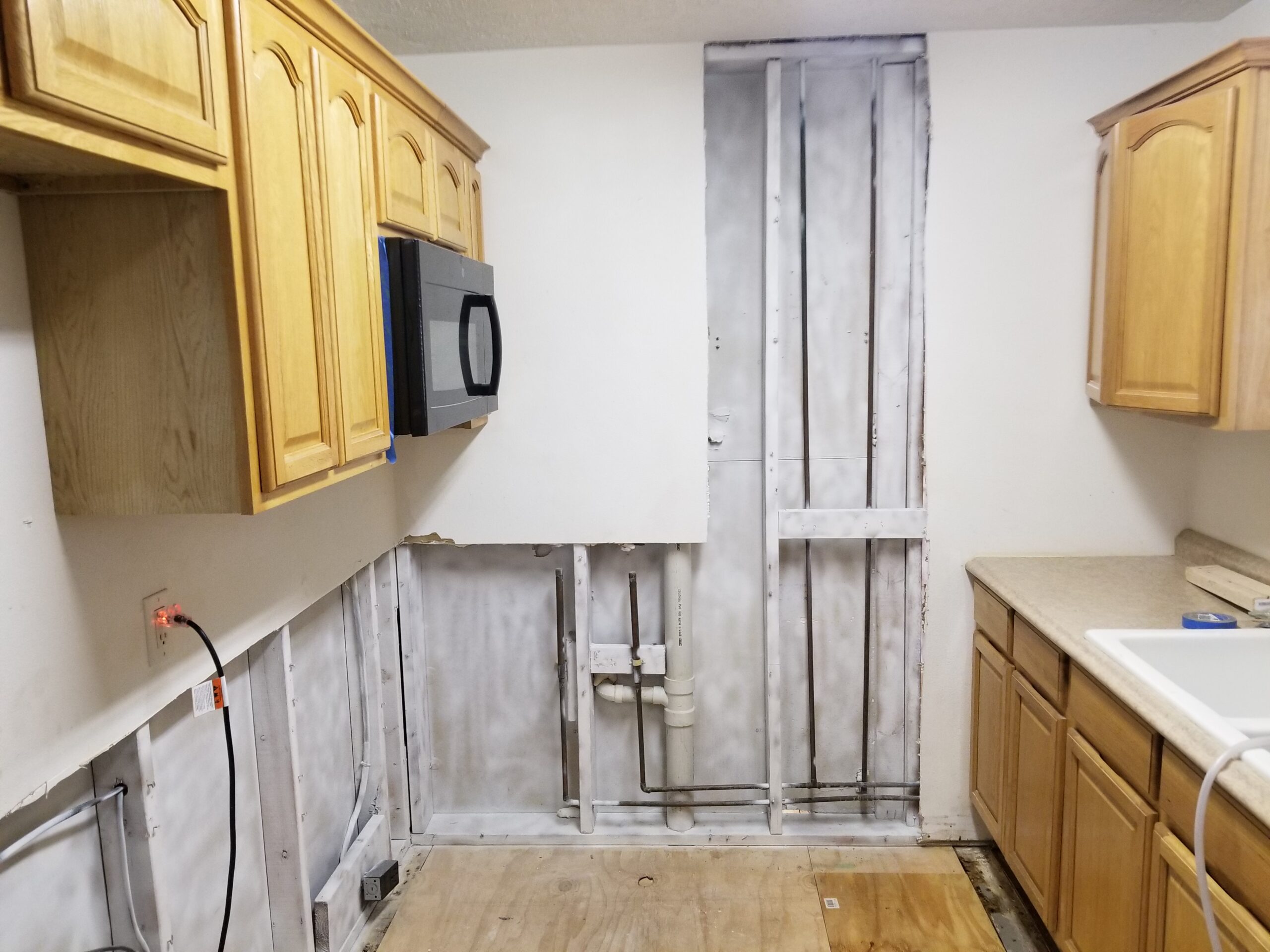 South Tampa Mold Remediation - mold-resistant primer application