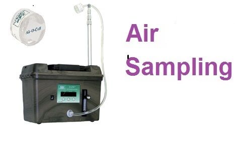 Sarasota Mold Inspection