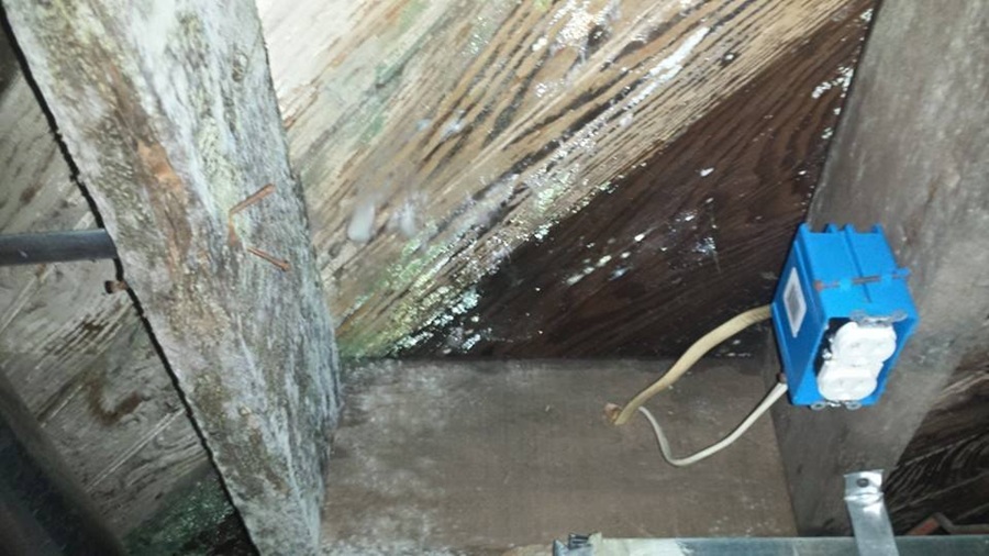 Crawl Space Mold Removal Tampa 