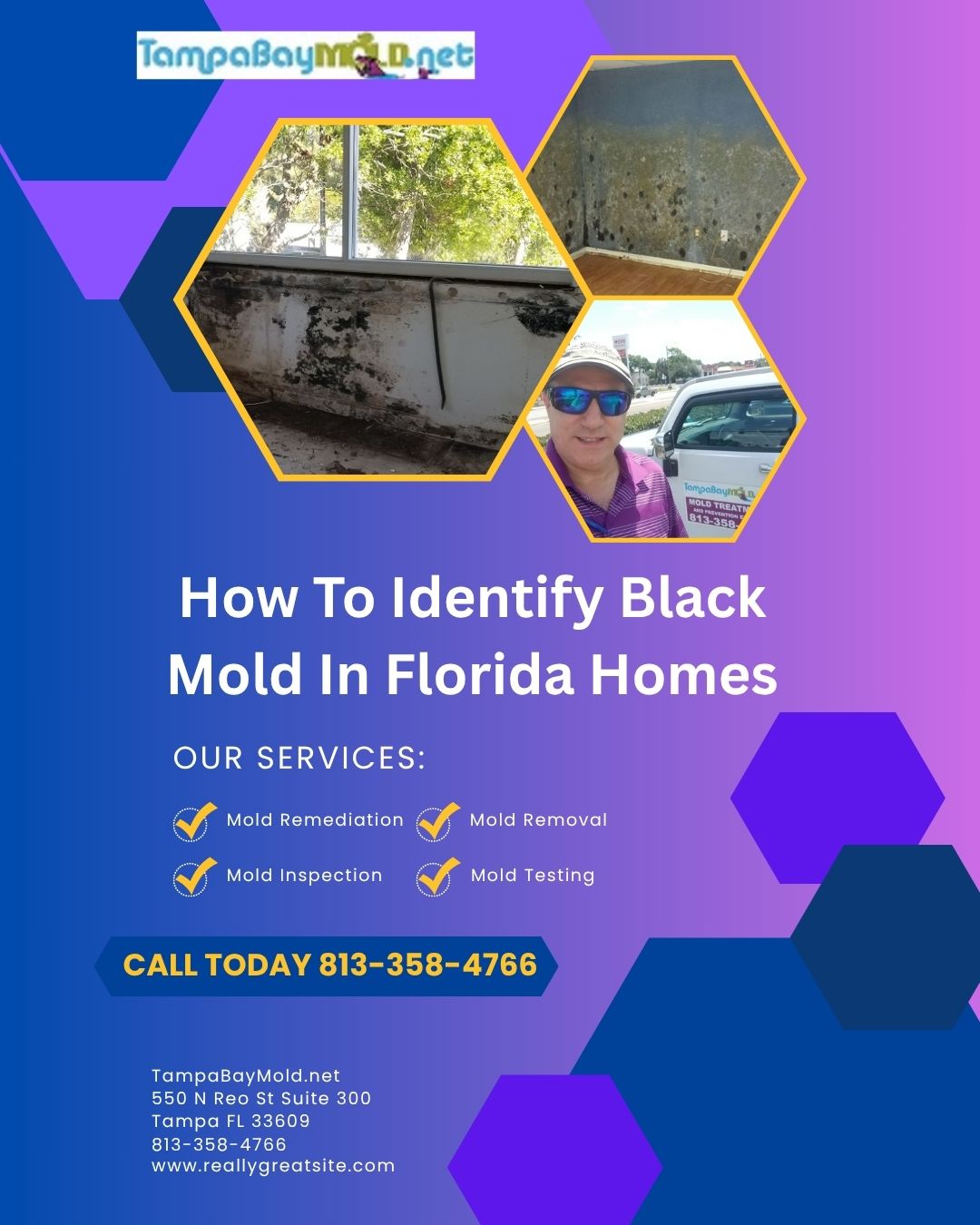 How To Identify Black Mold In Florida Homes