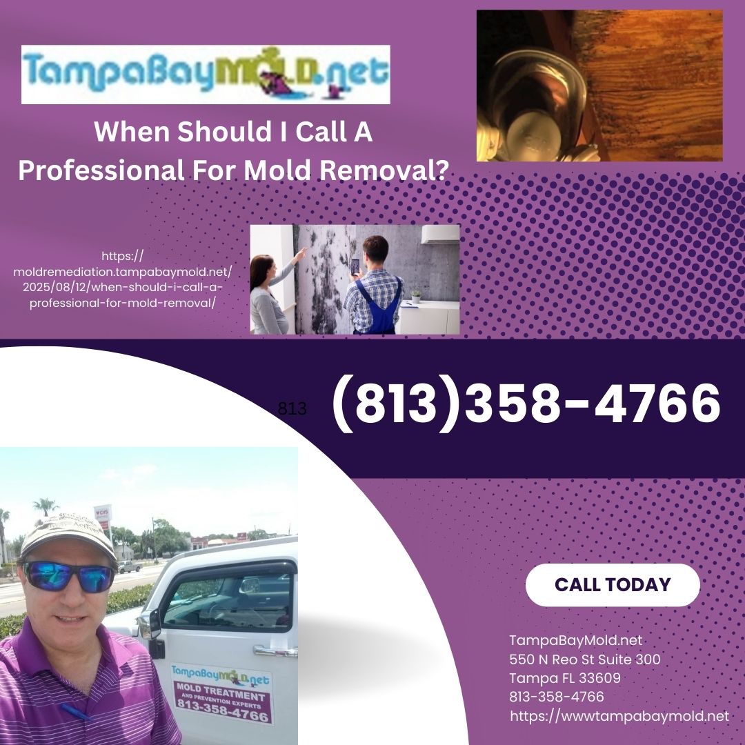 When Should I Call A Professional For Mold Removal?