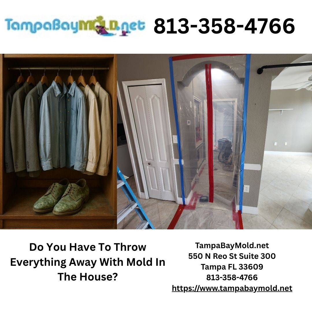 Do You Have To Throw Everything Away With Mold In The House?