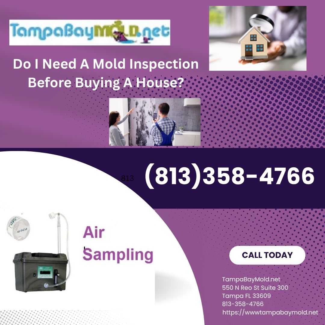 Do I Need A Mold Inspection Before Buying A House?