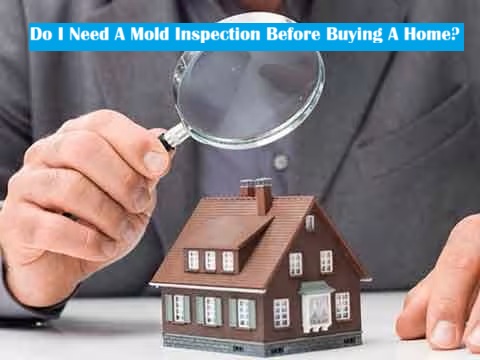 Do I Need A Mold Inspection Before Buying A House?