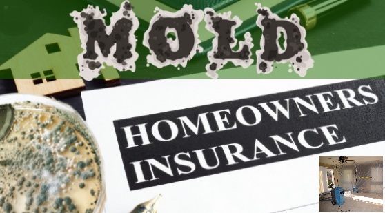 Insurance paperwork related to Tampa mold remediation and testing