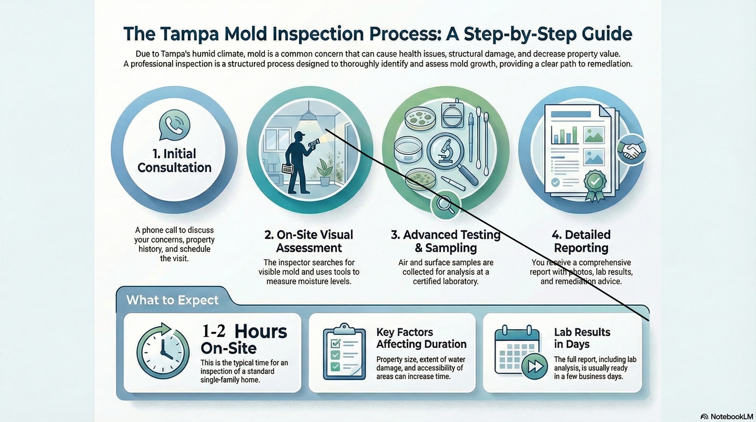 How long a Tampa mold inspection and testing visit takes
