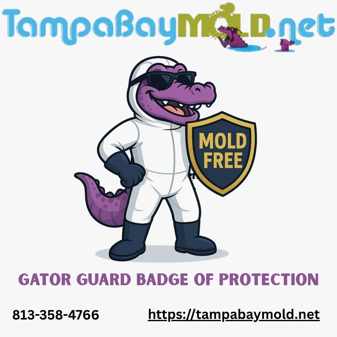 Expert Mold Inspection And Remediation In Tampa Bay-Gator Guard